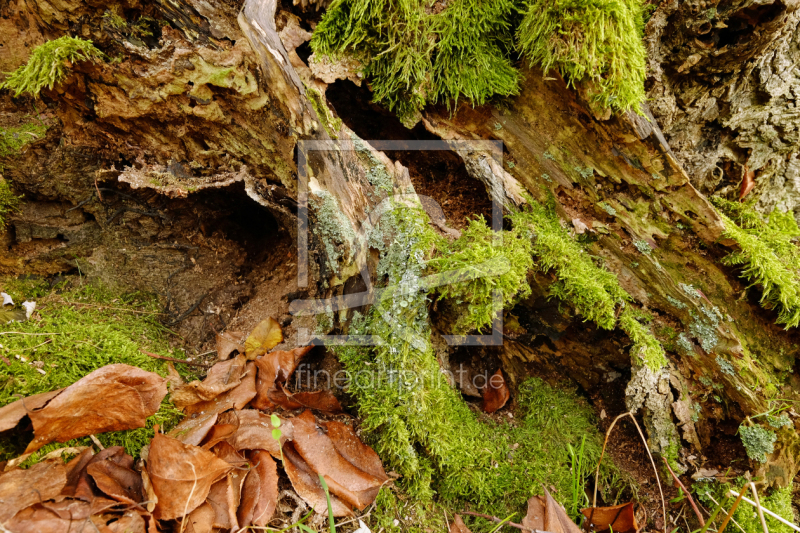 frei w&auml;hlbarer Bildausschnitt f&uuml;r Ihr Bild auf Untersetzer
