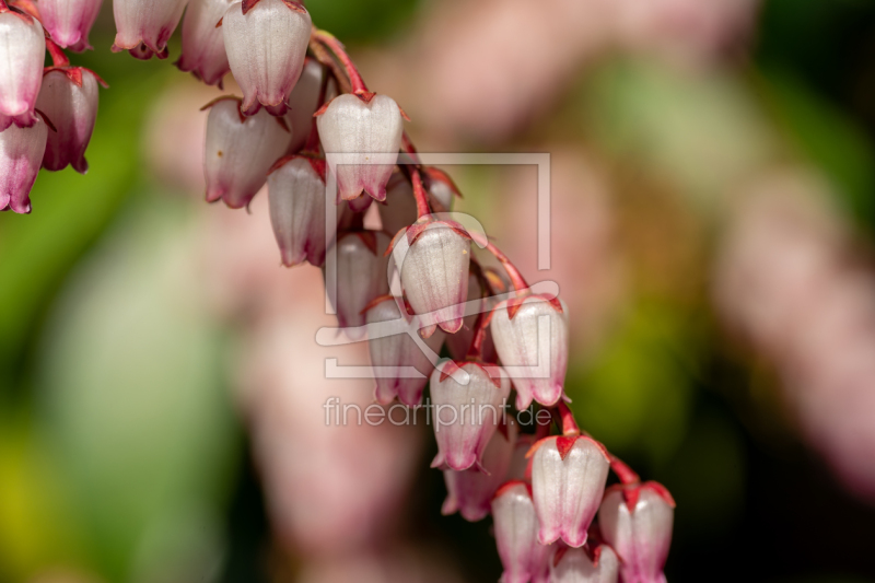 frei w&auml;hlbarer Bildausschnitt f&uuml;r Ihr Bild auf Untersetzer