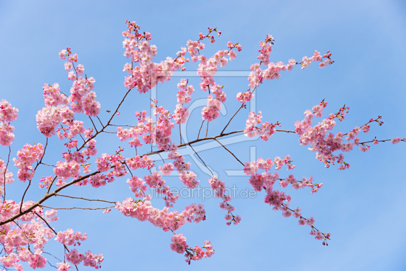 frei w&auml;hlbarer Bildausschnitt f&uuml;r Ihr Bild auf Untersetzer