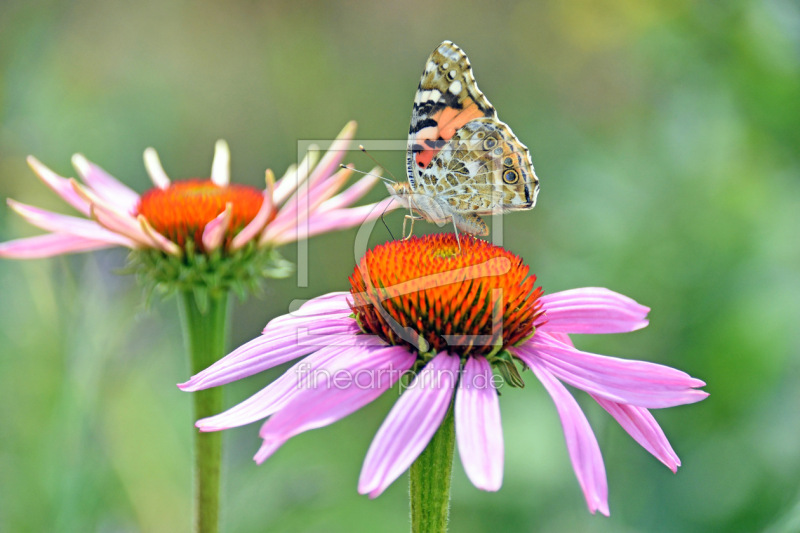 frei w&auml;hlbarer Bildausschnitt f&uuml;r Ihr Bild auf Untersetzer