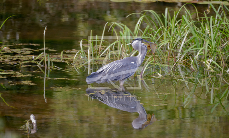 frei w&auml;hlbarer Bildausschnitt f&uuml;r Ihr Bild auf Untersetzer