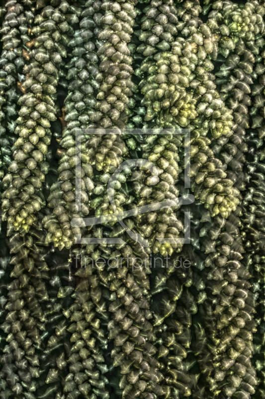 frei wählbarer Bildausschnitt für Ihr Bild auf Untersetzer