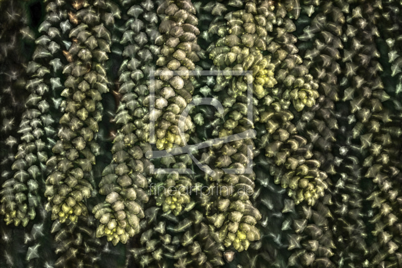 frei wählbarer Bildausschnitt für Ihr Bild auf Untersetzer