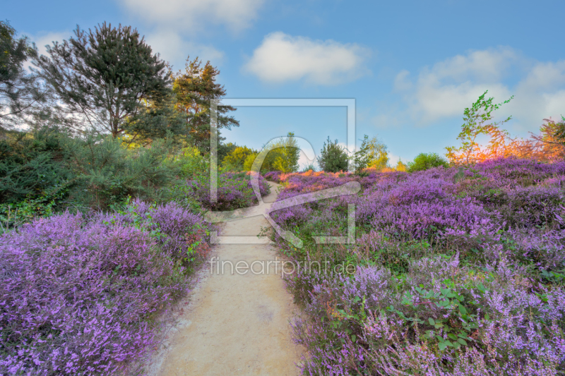 frei wählbarer Bildausschnitt für Ihr Bild auf Untersetzer