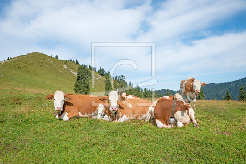 frei wählbarer Bildausschnitt für Ihr Bild auf Untersetzer