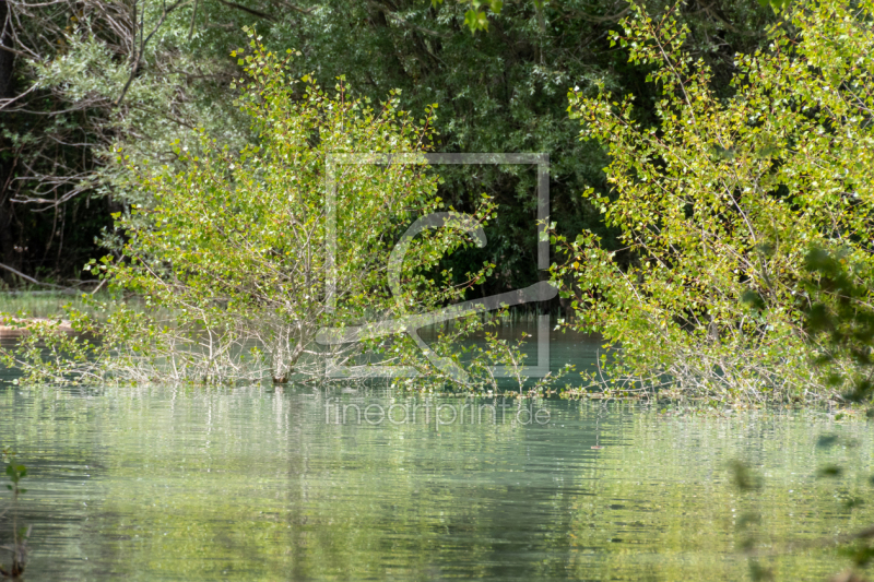 frei w&auml;hlbarer Bildausschnitt f&uuml;r Ihr Bild auf Untersetzer