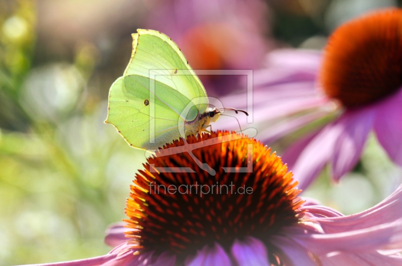 frei wählbarer Bildausschnitt für Ihr Bild auf Untersetzer