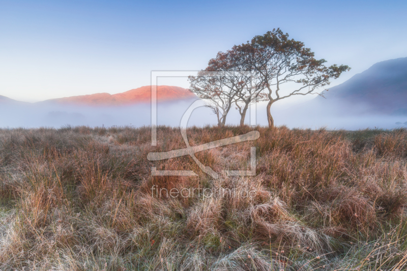 frei w&auml;hlbarer Bildausschnitt f&uuml;r Ihr Bild auf Untersetzer
