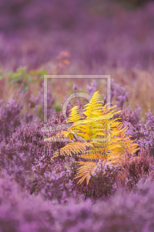 frei wählbarer Bildausschnitt für Ihr Bild auf Untersetzer