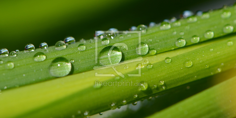 frei wählbarer Bildausschnitt für Ihr Bild auf Untersetzer