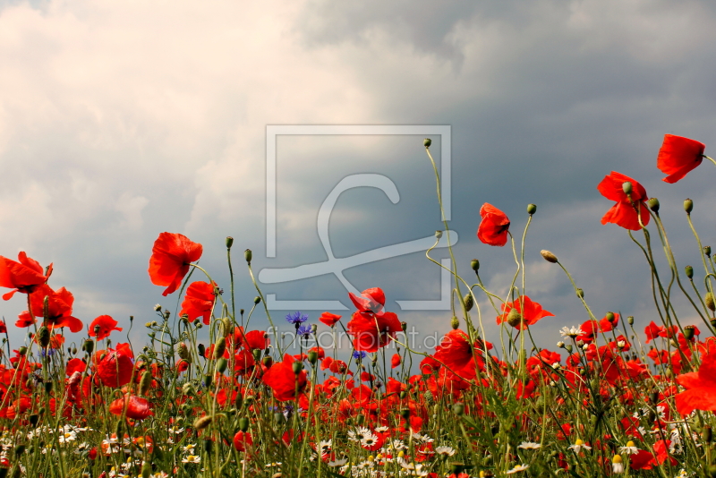 frei wählbarer Bildausschnitt für Ihr Bild auf Untersetzer