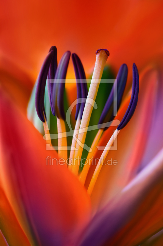 frei wählbarer Bildausschnitt für Ihr Bild auf Untersetzer