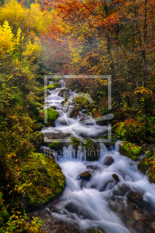 frei wählbarer Bildausschnitt für Ihr Bild auf Untersetzer