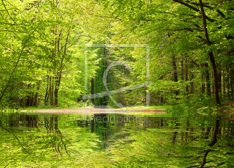 frei wählbarer Bildausschnitt für Ihr Bild auf Untersetzer