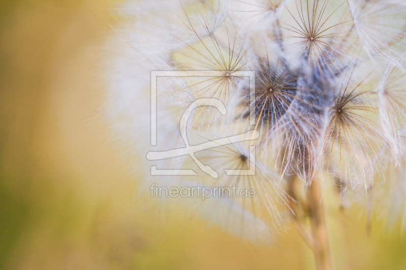 frei wählbarer Bildausschnitt für Ihr Bild auf Untersetzer
