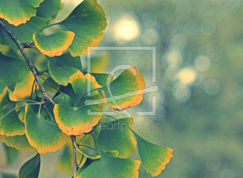 frei wählbarer Bildausschnitt für Ihr Bild auf Untersetzer