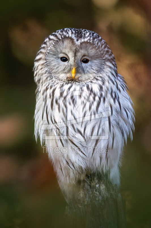 frei wählbarer Bildausschnitt für Ihr Bild auf Untersetzer