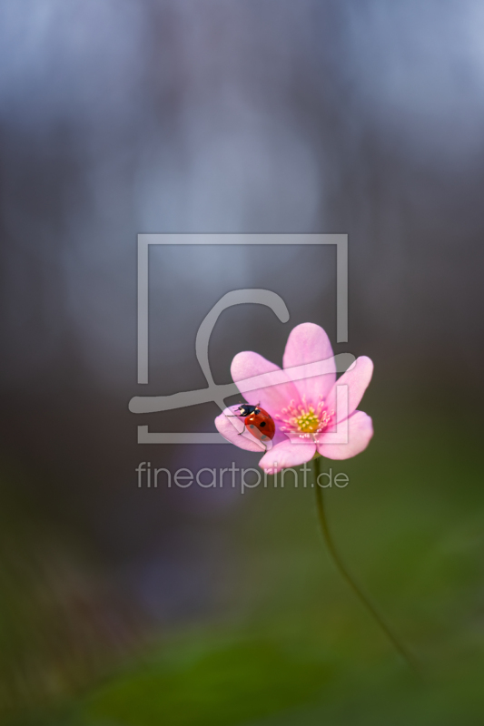 frei wählbarer Bildausschnitt für Ihr Bild auf Untersetzer