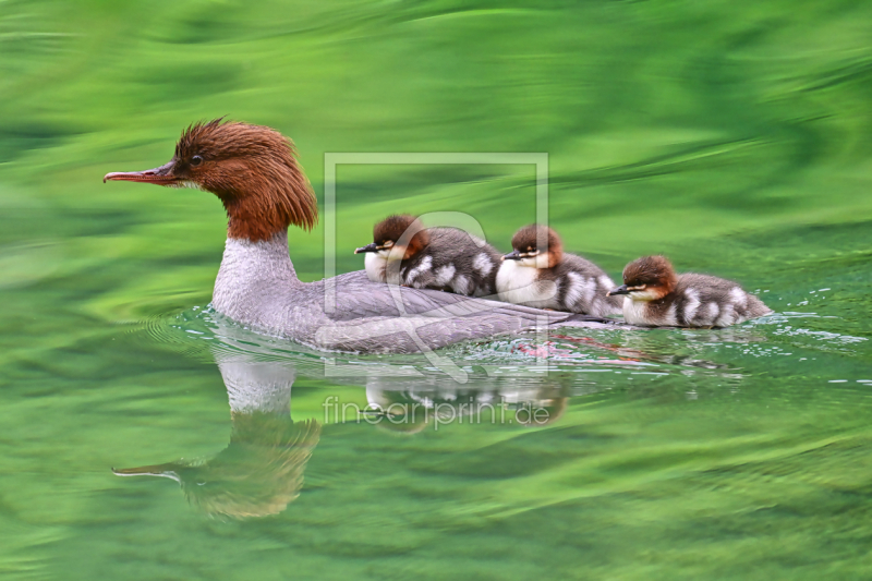 frei wählbarer Bildausschnitt für Ihr Bild auf Untersetzer