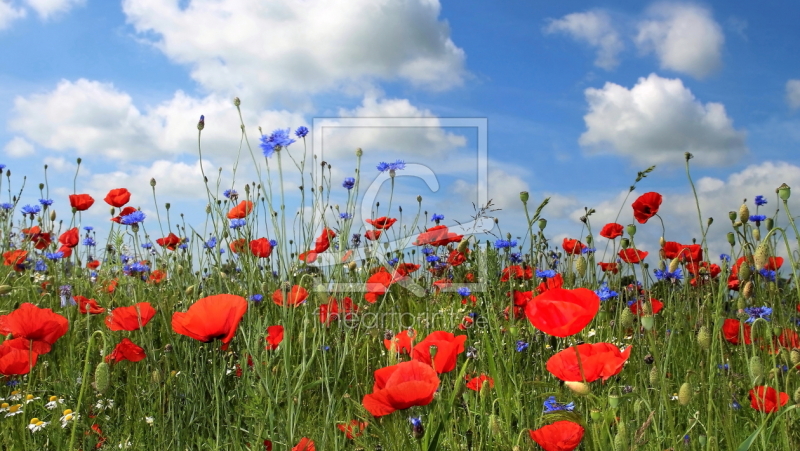 frei wählbarer Bildausschnitt für Ihr Bild auf Untersetzer