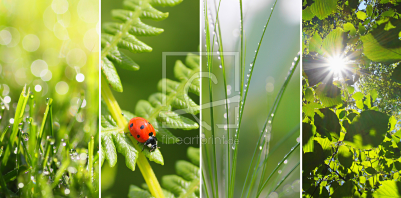 frei wählbarer Bildausschnitt für Ihr Bild auf Untersetzer
