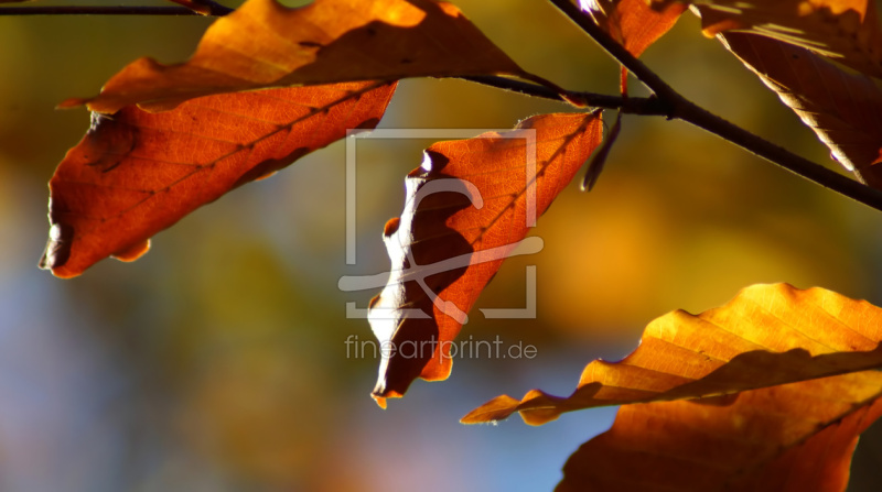 frei w&auml;hlbarer Bildausschnitt f&uuml;r Ihr Bild auf Untersetzer