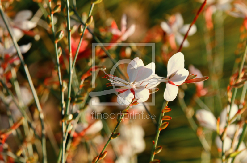 frei w&auml;hlbarer Bildausschnitt f&uuml;r Ihr Bild auf Untersetzer