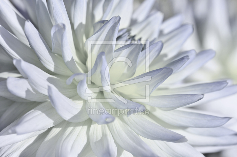 frei w&auml;hlbarer Bildausschnitt f&uuml;r Ihr Bild auf Untersetzer