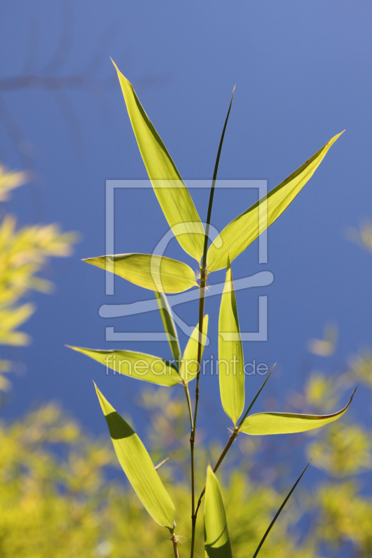 frei w&auml;hlbarer Bildausschnitt f&uuml;r Ihr Bild auf Untersetzer