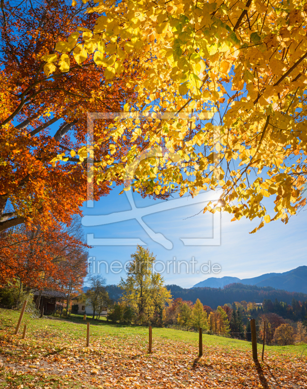 frei w&auml;hlbarer Bildausschnitt f&uuml;r Ihr Bild auf Untersetzer