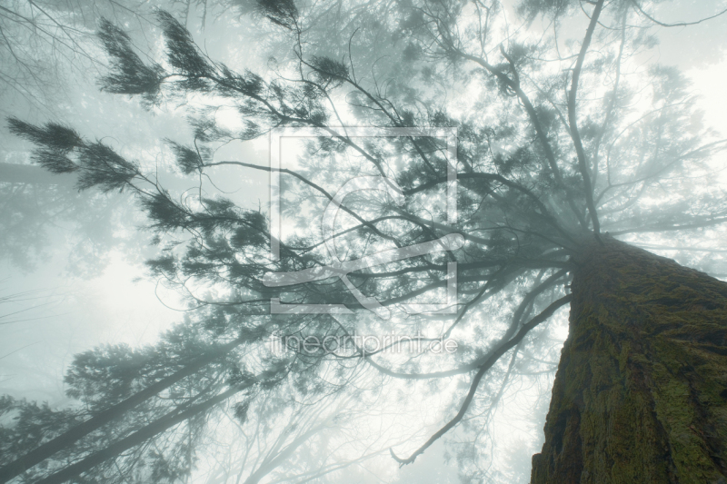 frei w&auml;hlbarer Bildausschnitt f&uuml;r Ihr Bild auf Untersetzer