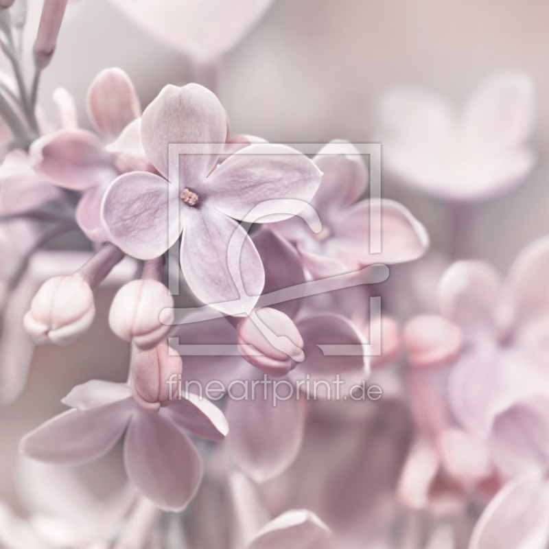 frei w&auml;hlbarer Bildausschnitt f&uuml;r Ihr Bild auf Untersetzer