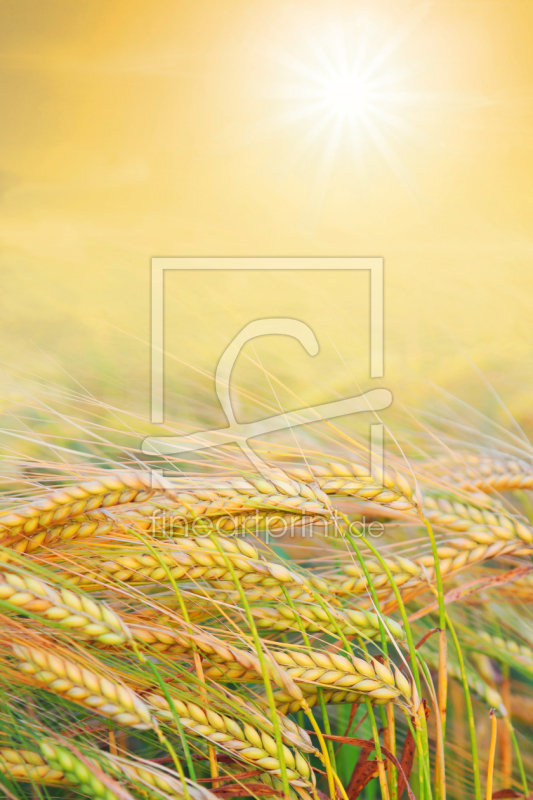 frei w&auml;hlbarer Bildausschnitt f&uuml;r Ihr Bild auf Untersetzer