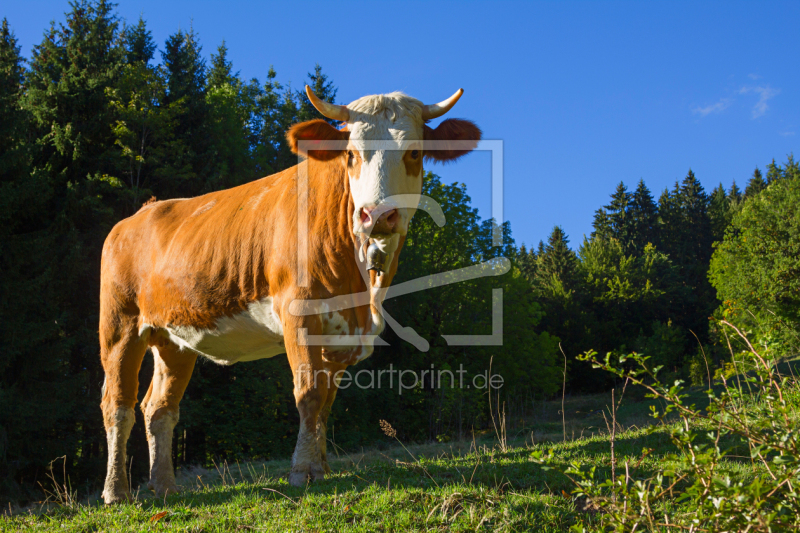 frei w&auml;hlbarer Bildausschnitt f&uuml;r Ihr Bild auf Untersetzer