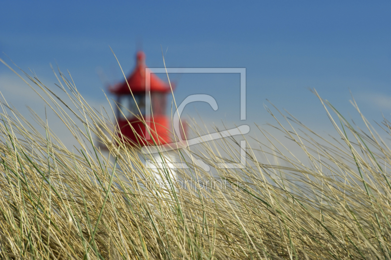 frei w&auml;hlbarer Bildausschnitt f&uuml;r Ihr Bild auf Untersetzer