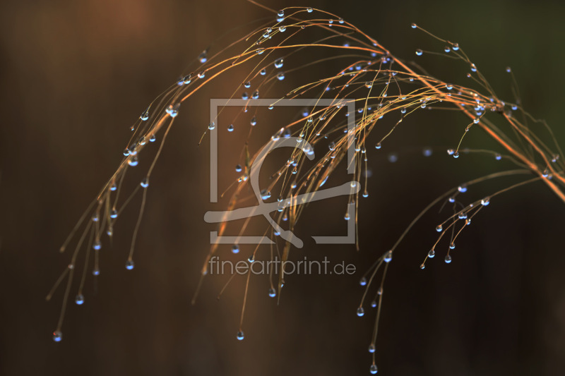 frei w&auml;hlbarer Bildausschnitt f&uuml;r Ihr Bild auf Untersetzer