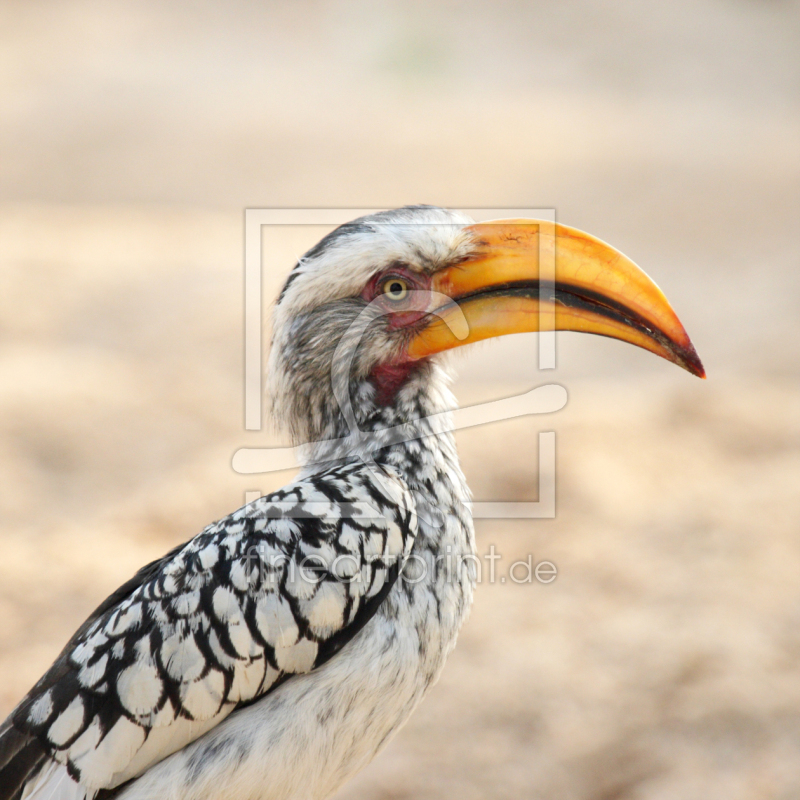 frei w&auml;hlbarer Bildausschnitt f&uuml;r Ihr Bild auf Untersetzer