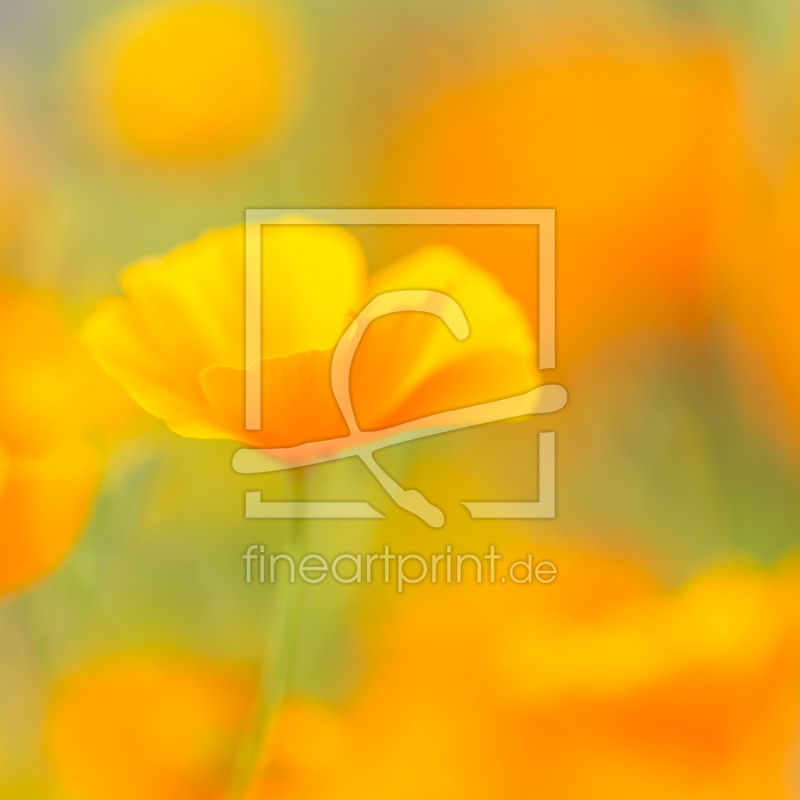 frei w&auml;hlbarer Bildausschnitt f&uuml;r Ihr Bild auf Untersetzer