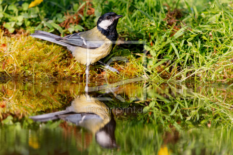 frei w&auml;hlbarer Bildausschnitt f&uuml;r Ihr Bild auf Untersetzer