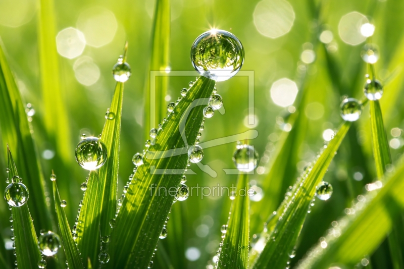 frei w&auml;hlbarer Bildausschnitt f&uuml;r Ihr Bild auf Untersetzer