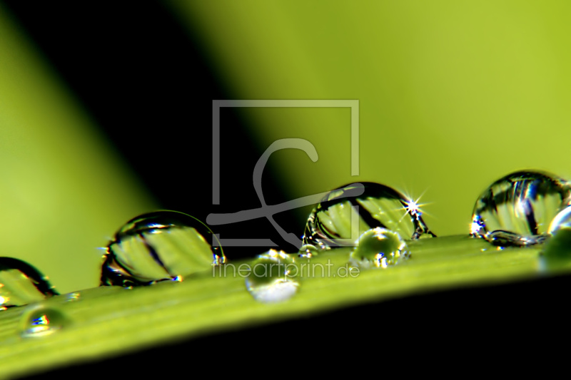 frei w&auml;hlbarer Bildausschnitt f&uuml;r Ihr Bild auf Untersetzer