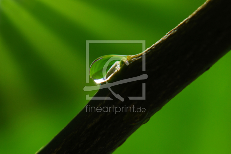 frei wählbarer Bildausschnitt für Ihr Bild auf Untersetzer