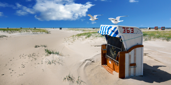 Bild-Nr: 11554078 Möwen am Nordseestrand Erstellt von: Reiner Würz