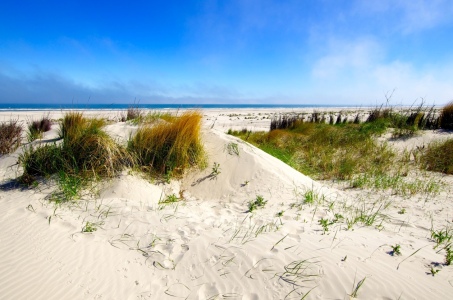 Bild-Nr: 11568204 Juist Dünenlandschaft Erstellt von: Werner Reins