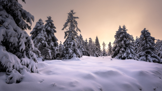 Bild-Nr: 12874289 Abenteuer Harz  Erstellt von: Steffen Henze