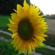 /user/52298/userimage/userImage_52298.jpg