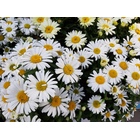 /user/82406/userimage/userImage_82406_1752347393.jpg